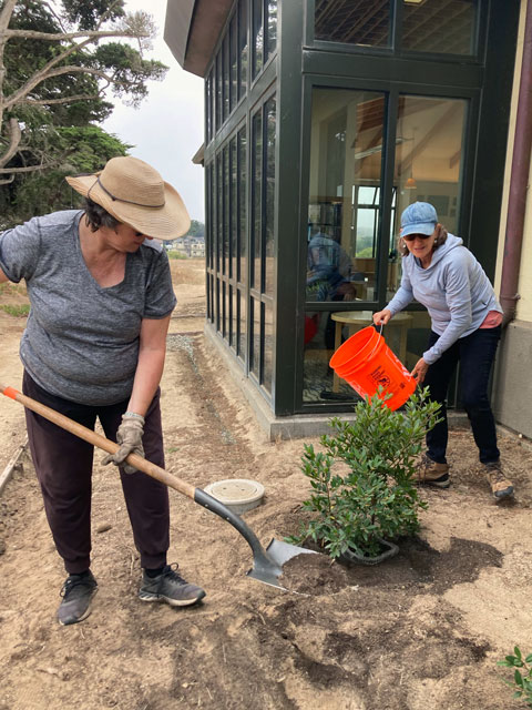 Marina Library Landscape volunteers