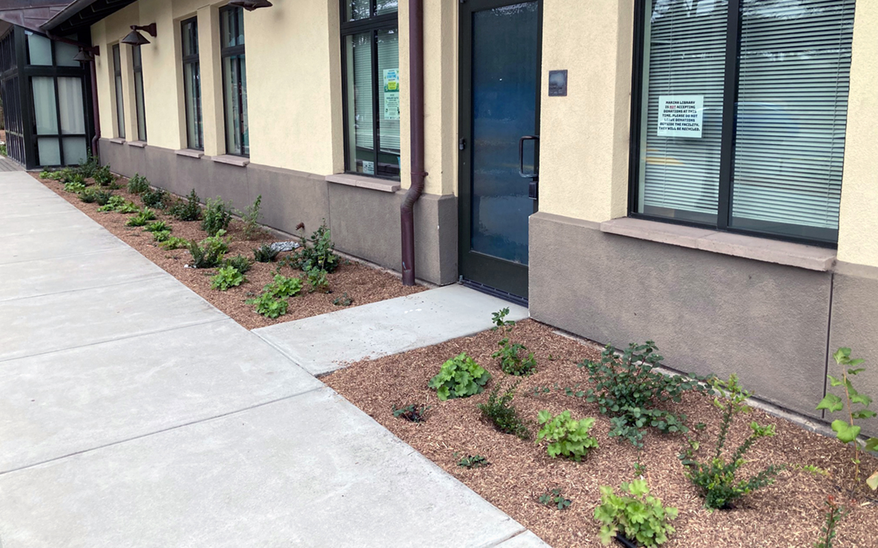 Marina Library Planting